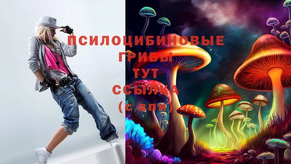 ешки Коряжма