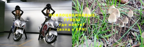 мяу мяу мука Корсаков