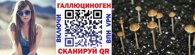 Псилоцибиновые грибы ЛСД  Красногорск 