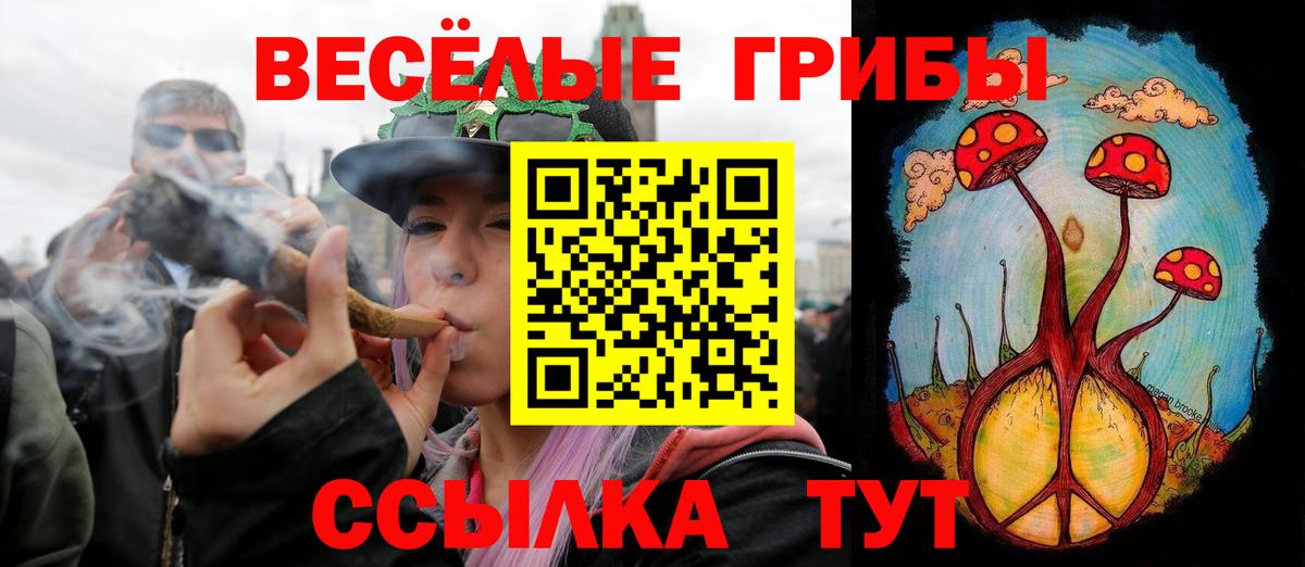 Красногорск  Псилоцибиновые грибы Cubensis  Вход с VPN  Псилоцибиновые грибы мухоморы 